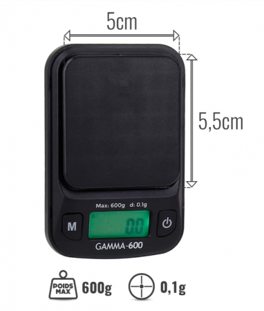 Balance de précision 0,1 gramme