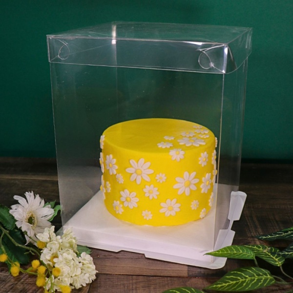Bo�te � g�teau vitrine 25 x 25 x 30 cm