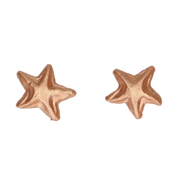 Etoiles en sucre bronze x 24
