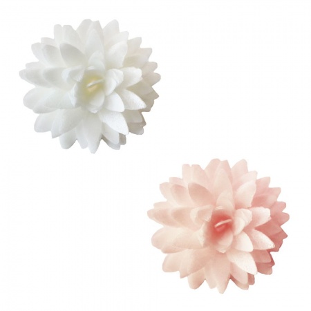 Fleurs en azyme dahlias blancs roses x 5