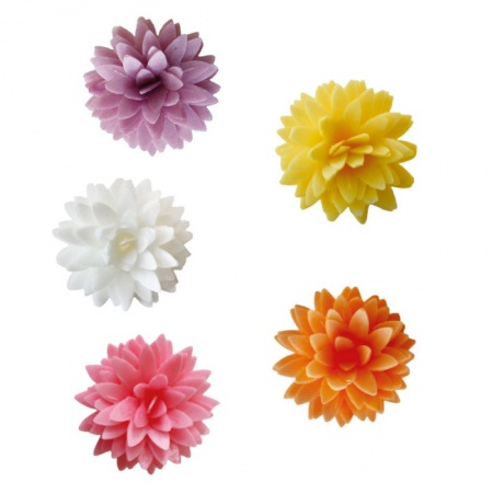 Fleurs en azyme dahlias x 5