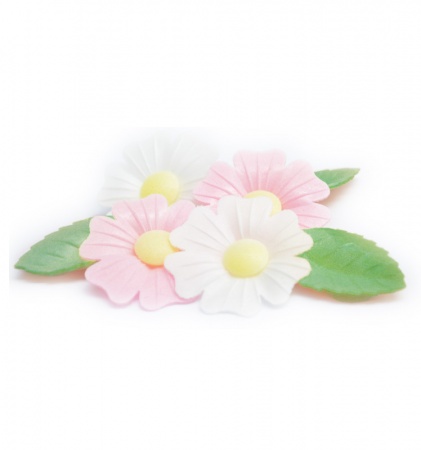 Fleurs en azyme &eacute;glantine avec feuilles x6