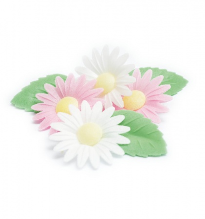 Fleurs en azyme marguerites avec feuilles x6