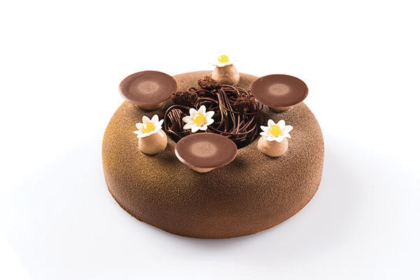 Moule à savarin ou baba au rhum diametre de 24 cm en silicone Silik