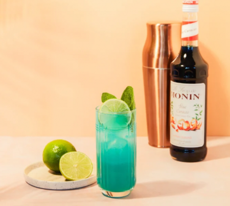 Pur&eacute;e de coco 500ml. Le Fruit de Monin