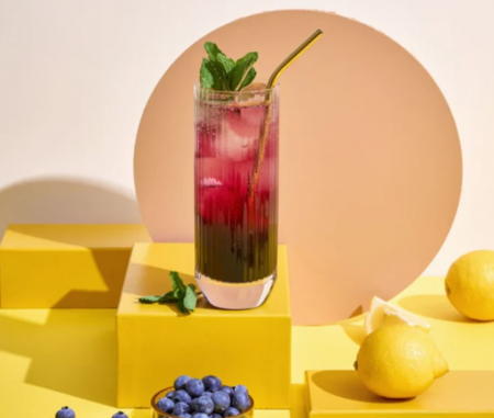 Pur&eacute;e de myrtille 500ml. Le Fruit de Monin