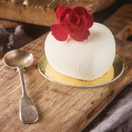 Spray velours blanc 100 ml